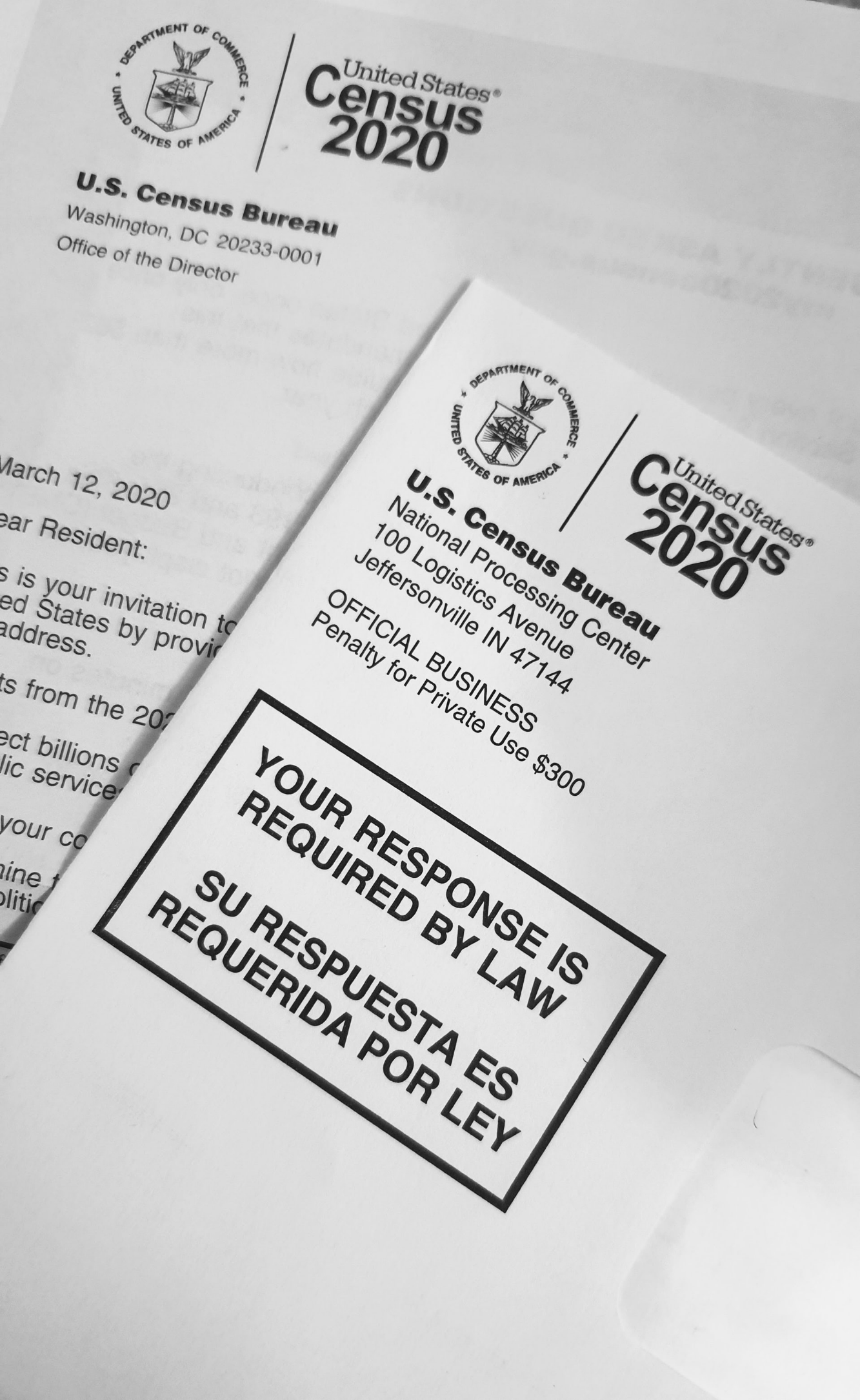 2020 Census logo with data release timeline information