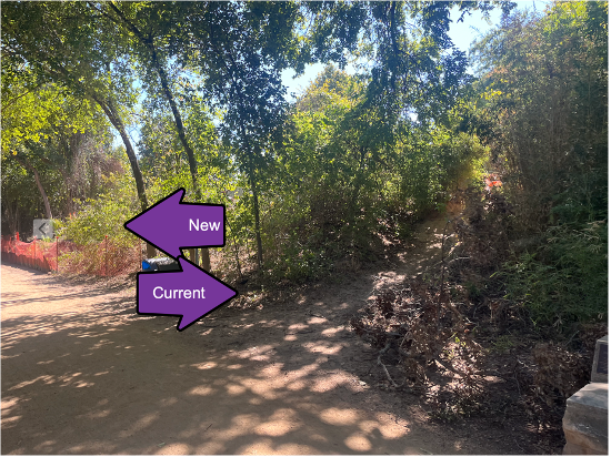 Worn dirt desire path next to a newly constructed formal trail at Town Lake in Austin, Texas